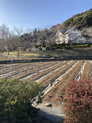 袖ケ浦公園のお散歩