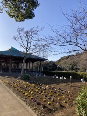 袖ケ浦公園のお散歩