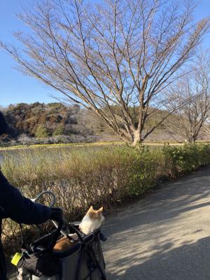 袖ケ浦公園のお散歩