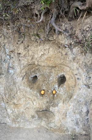 袖ケ浦公園のお散歩
