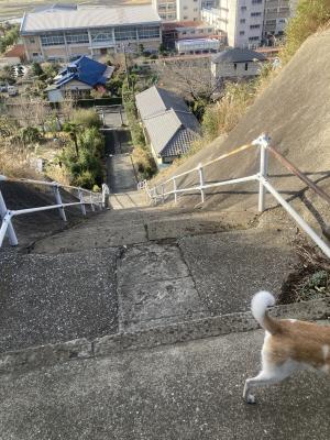 率土神社のおさんぽ