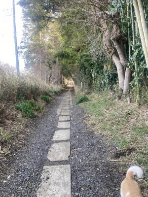 率土神社のおさんぽ