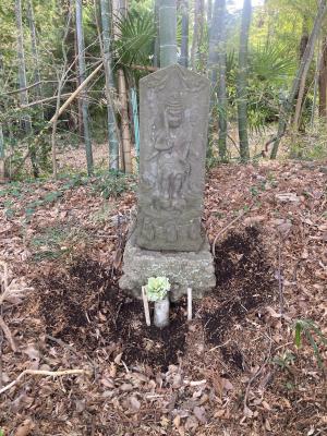 率土神社のおさんぽ