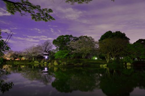 袖ケ浦公園の桜