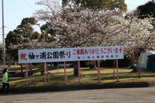 春日和の公園をぶらり