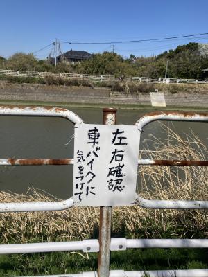 河沿いのおさんぽ