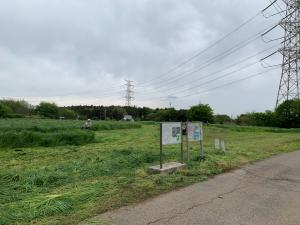 除草作業(1)