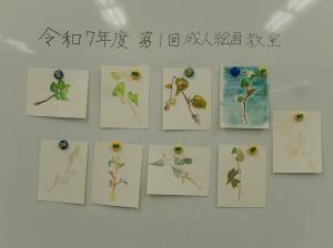 第1回成人絵画教室の様子