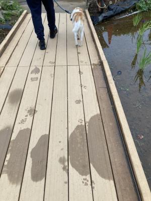 袖ケ浦公園のおさんぽ