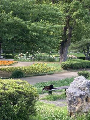 袖ケ浦公園のおさんぽ