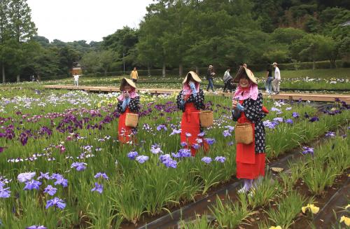 笑顔の『花摘み娘』
