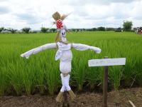15番  お祭り ワッショイ