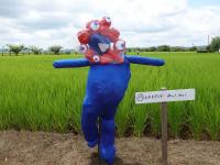 19番  お米を守るぞ!! みゃくみゃく