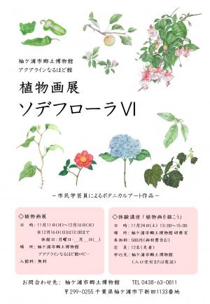 市民学芸員葉月の会植物画展「ソデフローラ6」ポスター