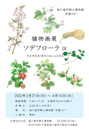 市民学芸員葉月の会植物画展「ソデフローラ9」ポスター