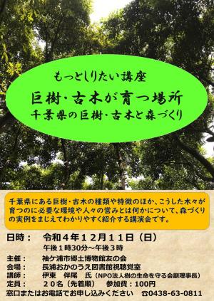 友の会もっとしりたい講座「巨樹・古木が育つ場所 －千葉県の巨樹・古木と森づくり－」ポスター