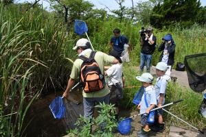 夏休みジュニア学芸員体験「上池いきもの調査隊！」の写真