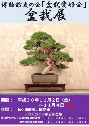 盆栽展チラシ