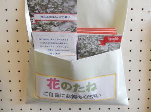 花のたね