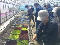 圃場での実習の様子