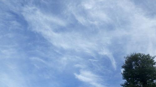 いろんな雲を撮ろうー撮り雲ー