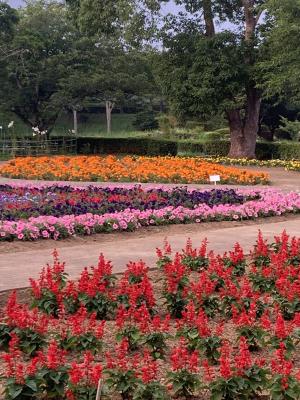 袖ケ浦公園のおさんぽ