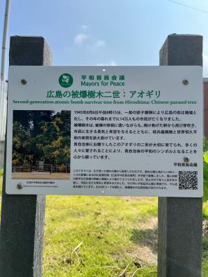 看板