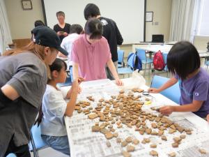 山野貝塚出土土器の圧痕探し