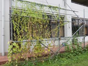 2025年9月4日