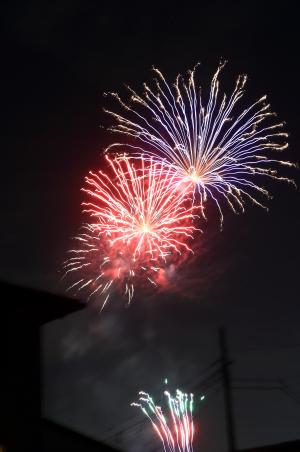 夜空を彩る花火ショー