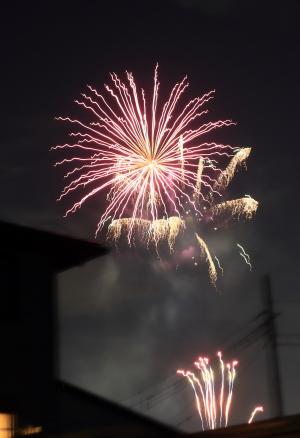 夜空を彩る花火ショー