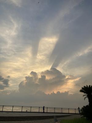袖ケ浦海浜公園のおさんぽ