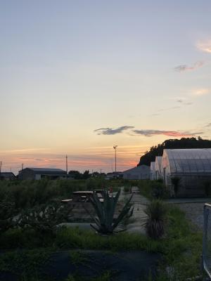 袖ケ浦公園そばのおさんぽ