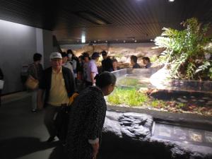 屋内展示の見学の様子