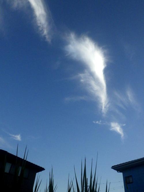 台風の前後の空模様