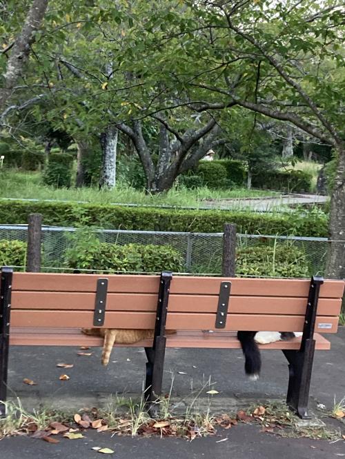 袖ケ浦公園のおさんぽ