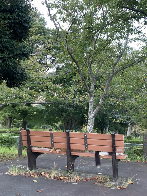 袖ケ浦公園のおさんぽ