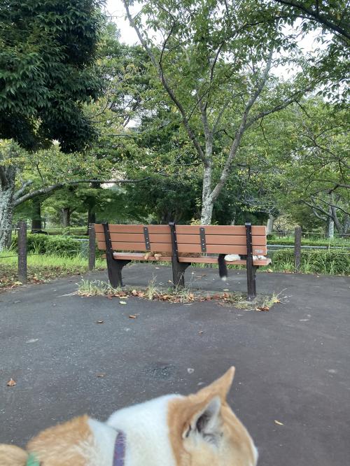 袖ケ浦公園のおさんぽ