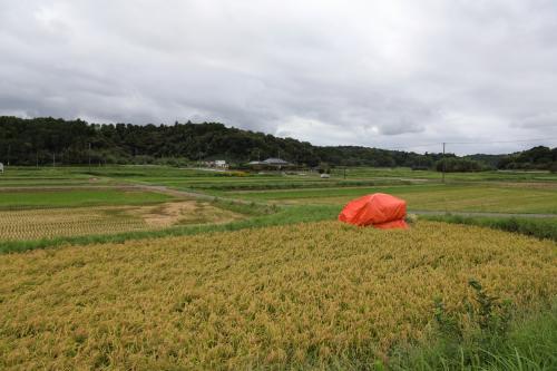 「映え」ポイントを求めて