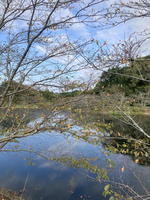 光福堰のおさんぽ