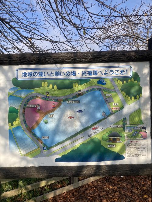 光福堰のおさんぽ