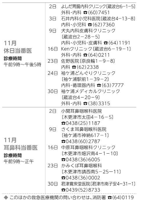 11月休日当番医表
