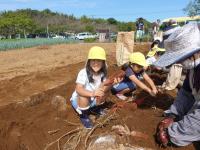 たくさん掘れたね