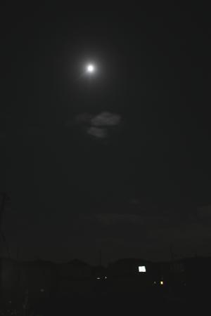 中秋の名月