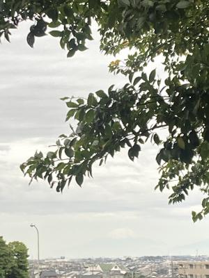 初冠雪の富士山