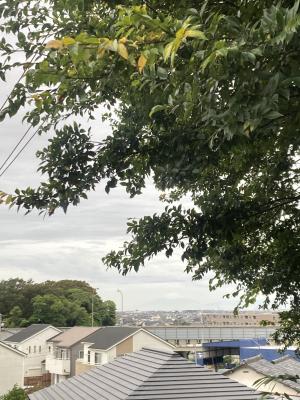 初冠雪の富士山