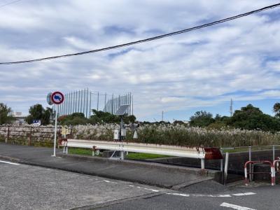 奈良輪境側の水位計の写真