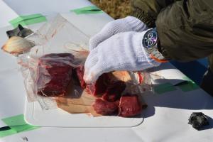 石器で肉を切る写真