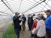 玉ねぎ苗の生育状況