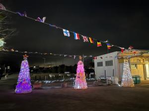 令和6年度のペットボトルアートツリーの様子の写真